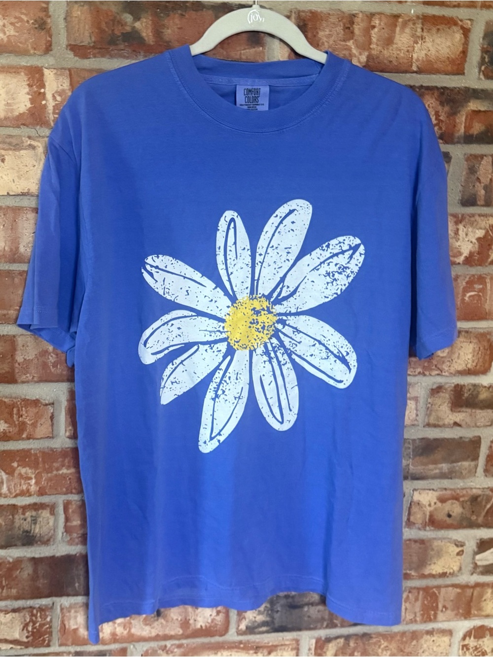 Comfort Colors Blue Daisy Graphic Tee